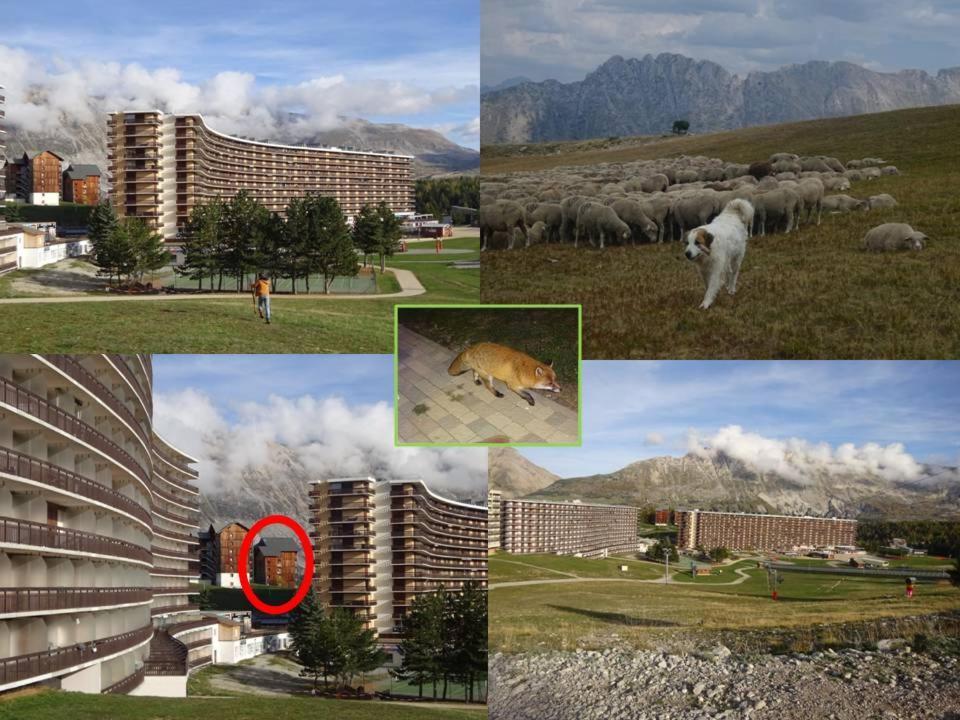 Appartement 8-10 Personnes Superdevoluy Hautes Alpes Rez De Chaussee Vue Panoramique 3 Chambres Ле-Деволюи Экстерьер фото
